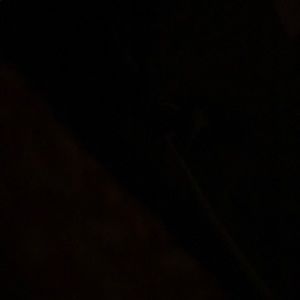 Meet your Posher, Tee